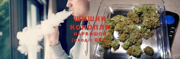 твердый Магас