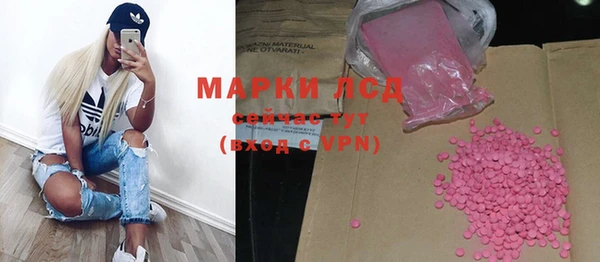 твердый Магас