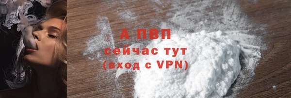 прущие грибы Майский