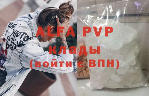 прущие грибы Майский