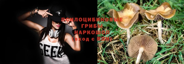 амф Магадан