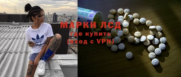 прущие грибы Майский
