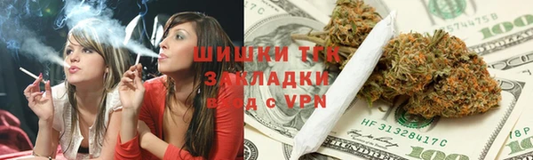прущие грибы Майский