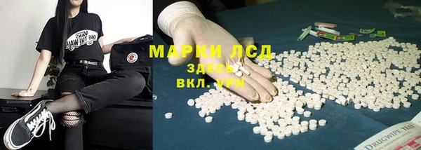твердый Магас