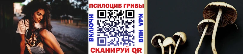 Галлюциногенные грибы ЛСД  Новая Ляля 